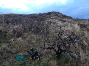 stunning West Cork landscape