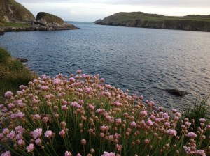 South harbour, Cape Clear, a favourite spot to sit and dream