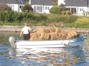 summertime in rural west cork