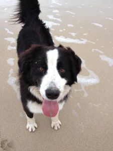 green fingered writer
