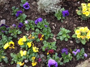 West Cork villages, schull