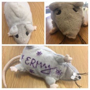 DA88EEF5-D6FB-400C-A8F6-BC0B4D1A62A3-COLLAGE